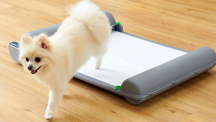 自動犬トイレブリリアントパッドの使い方と捨て方～ニオイや菌を防ぐコツ～