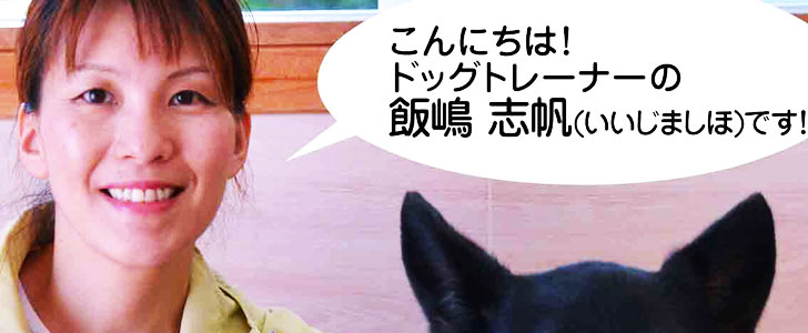 こんにちは！ドッグトレーナーの飯島志保（いいじましほ）です。