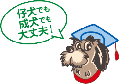 イヌバーシティ ロゴマーク